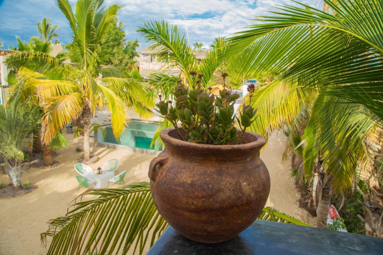 Pure Baja Private Suites-Upscale Property With Infinity Pool And Lush Gardens El Pescadero  Exterior photo